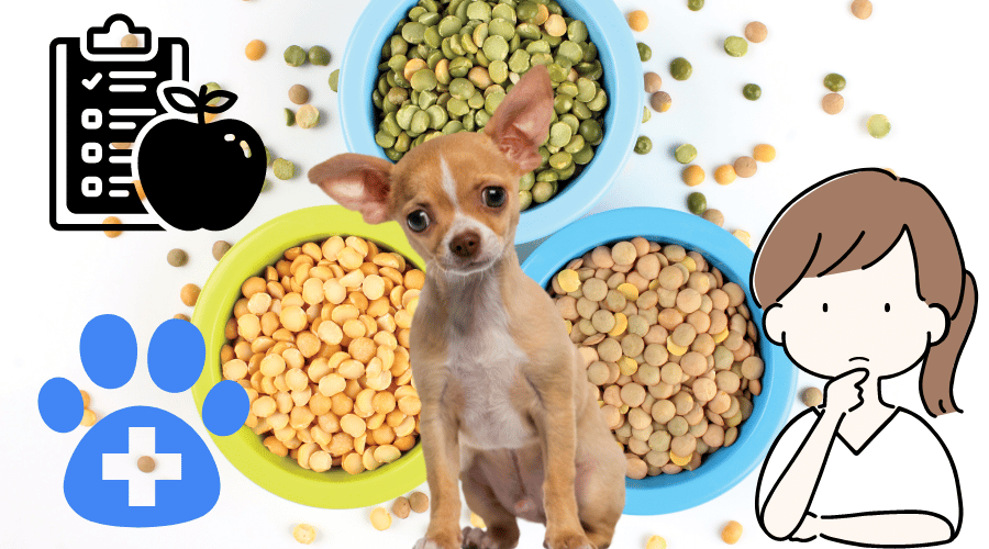 Can Dogs Eat Lentils