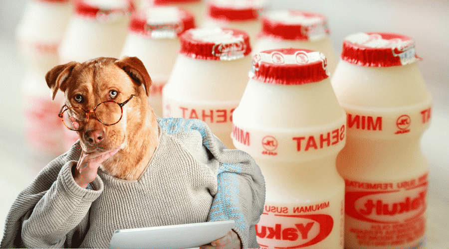 Should I Give Yakult To My Dog