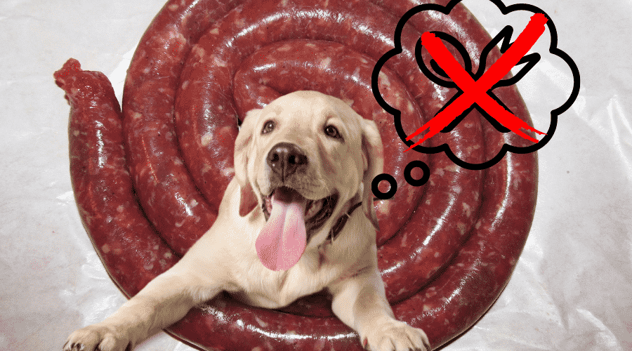Is Italian sausage Safe For Dogs