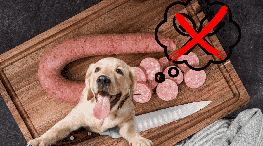 If A Dog Eats Kielbasa