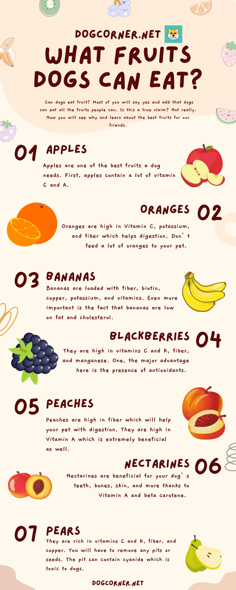 fruits dogs can eat