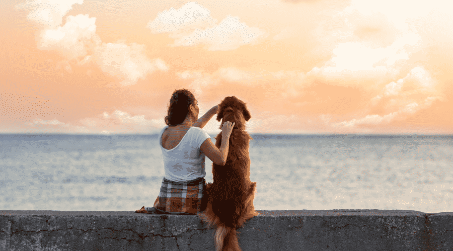 Why Do Dogs Lay Near You