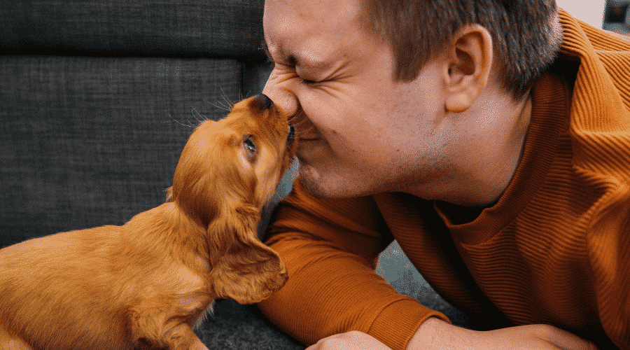 puppy bite nose