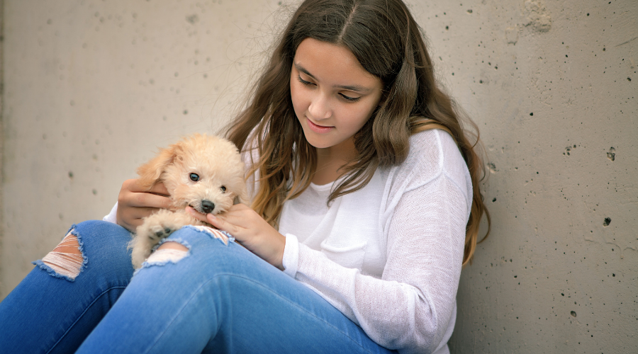 teach your puppy
