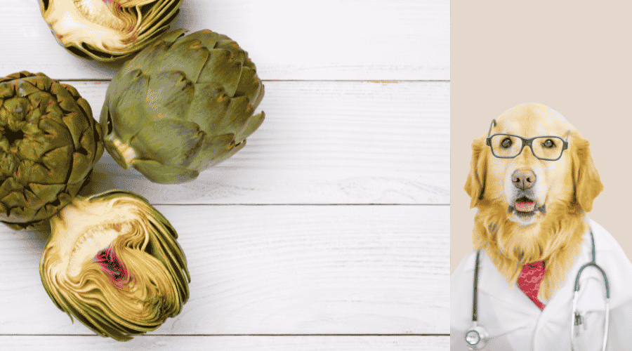 Nutrients In Artichokes