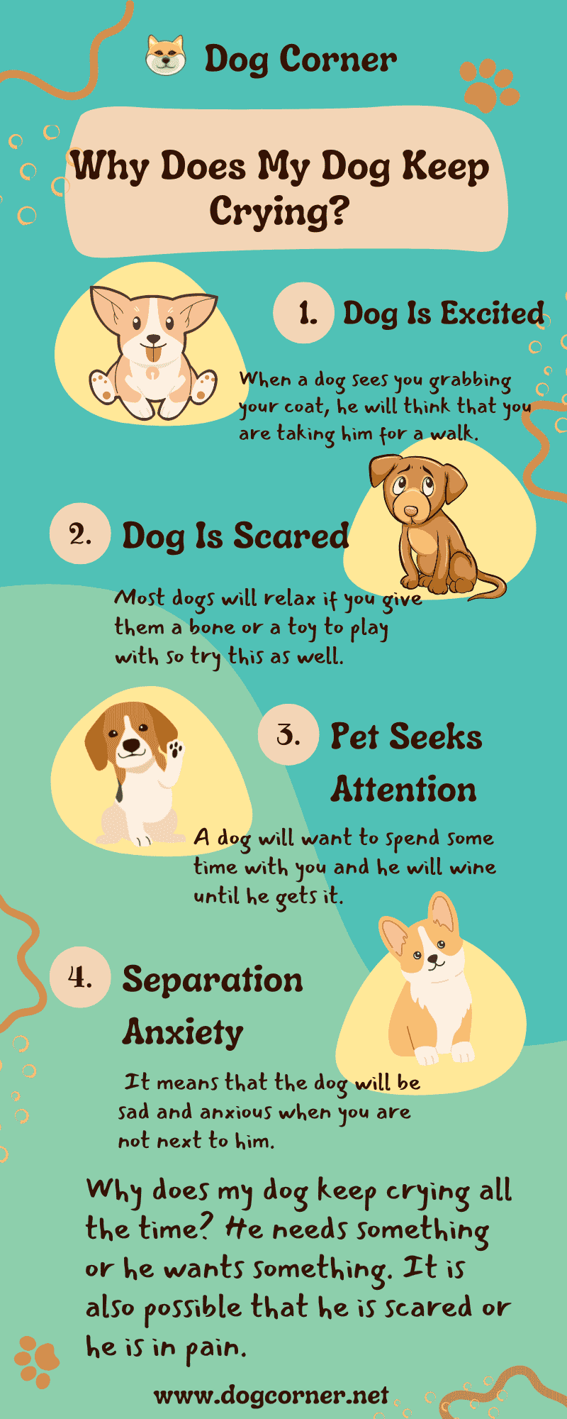 Main Reasons Why Does My Dog Keep Crying