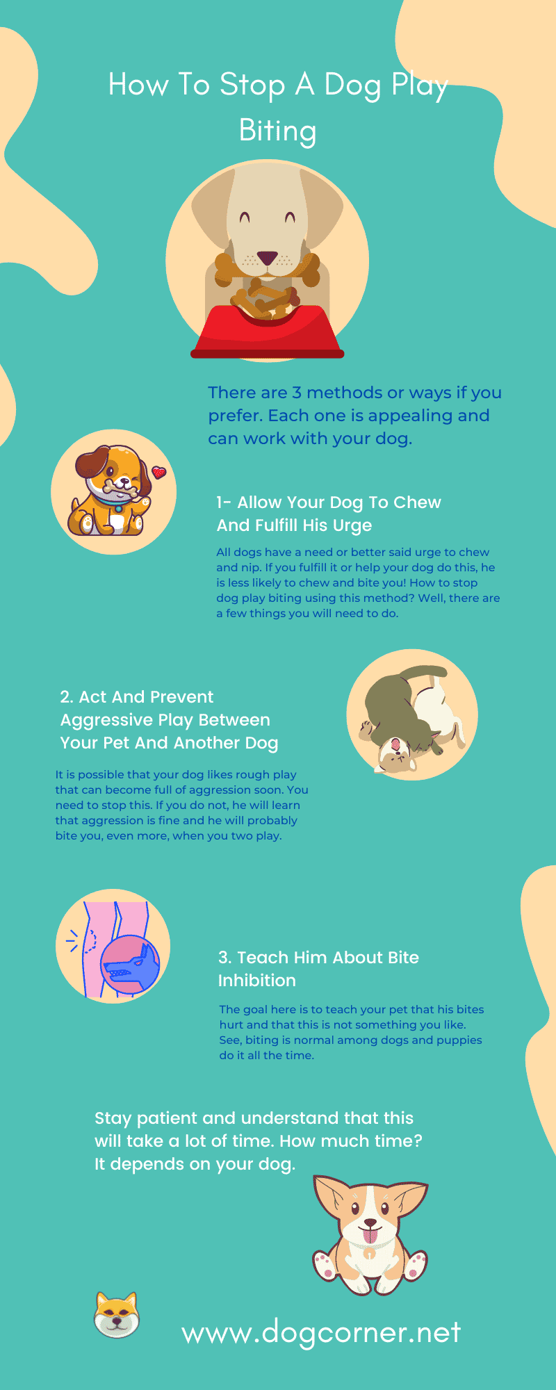 How To Stop A Dog Play Biting