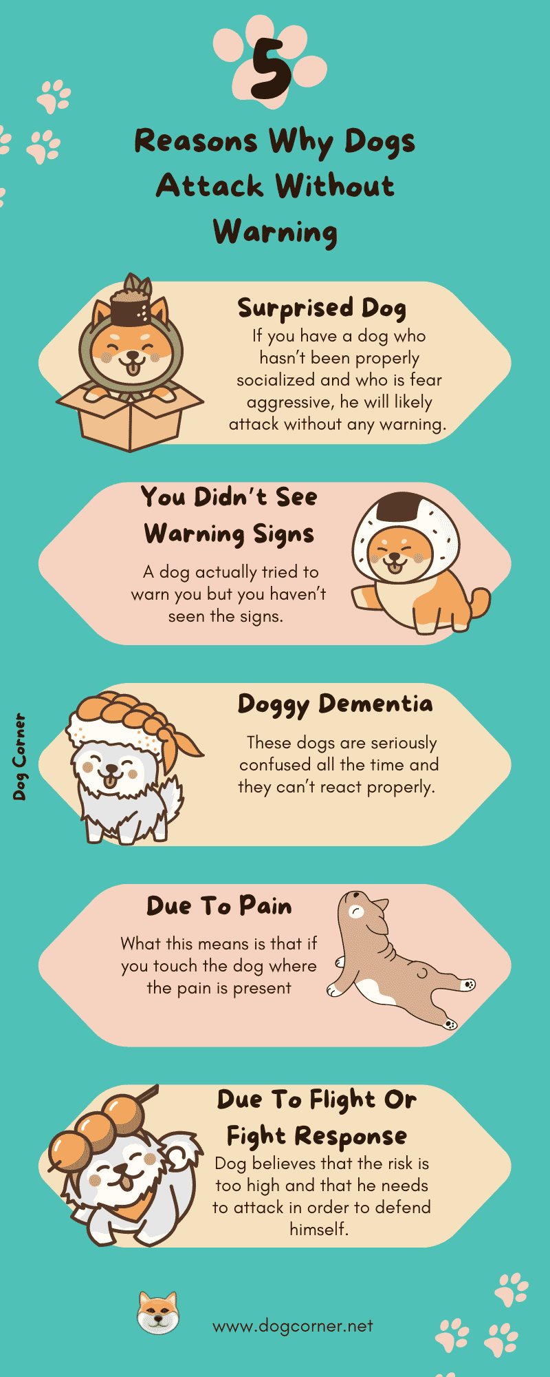 Reasons Why Dogs Attack Without Warning